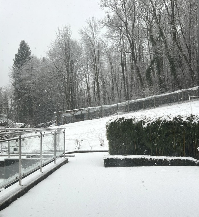Jardin enneigé de la Villa Gai Moulin, camp de base près des stations de ski de Haute-Savoie