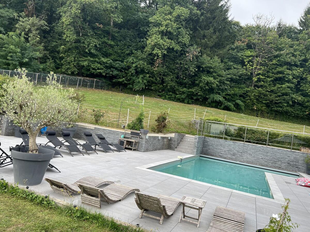 Piscine et olivier dans le jardin de la villa à Rumilly